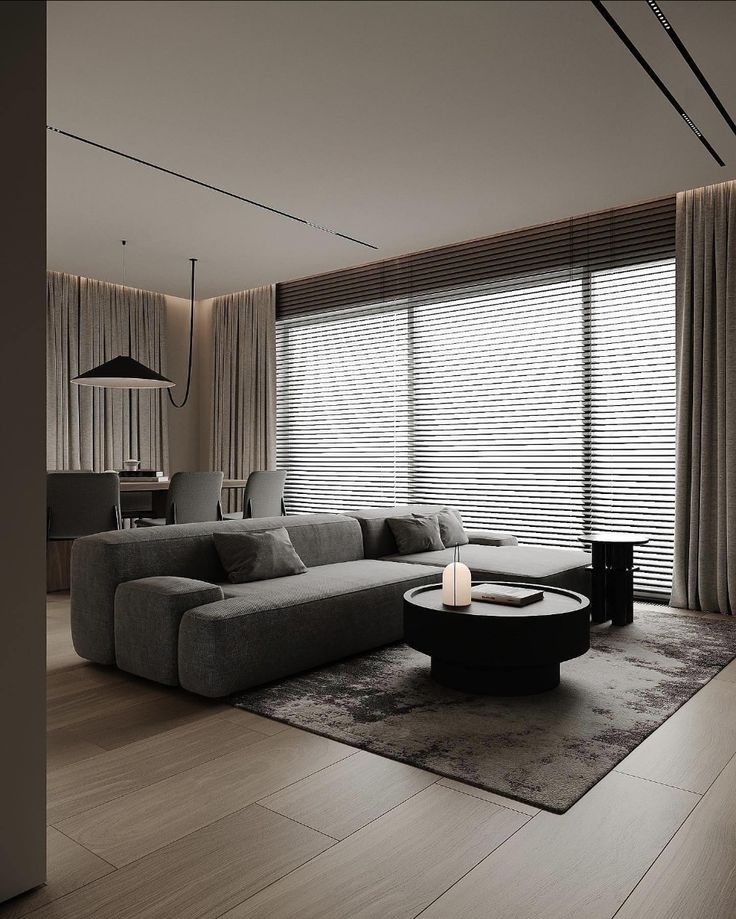 Large Window Blinds Designs For The Perfect Living Room Lighting