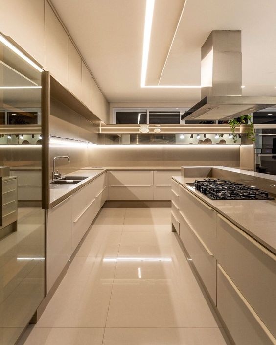 luxurious design kitchen