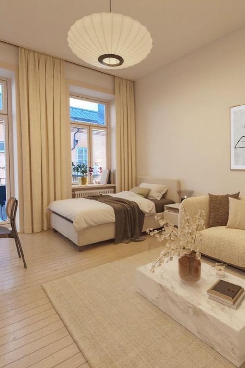 elegant studio apartment idea