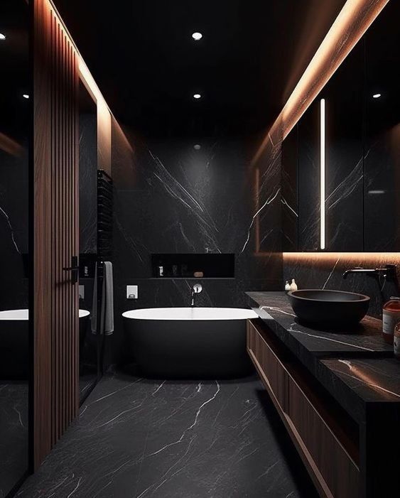 luxurious dark bathroom