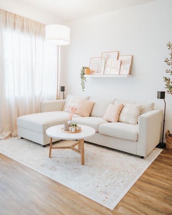 White Living Room Decor idea