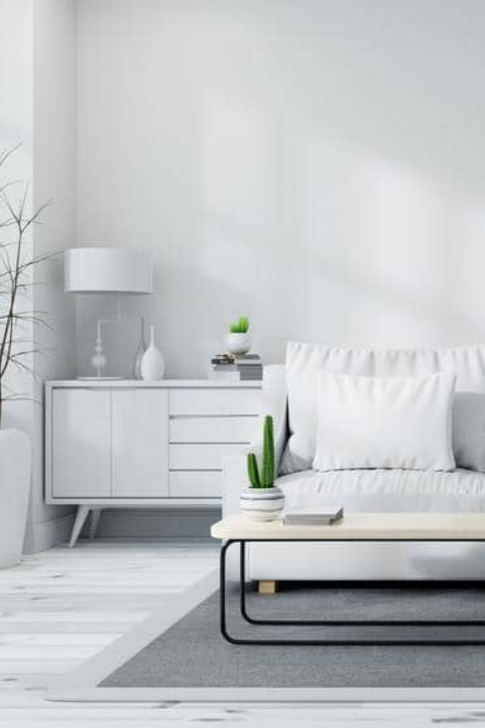 White Living Room Decor idea